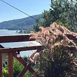 Nad Jeziorem W Gorach Holiday home *