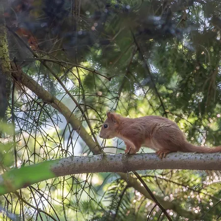 別荘 Nad Jeziorem W Gorach *