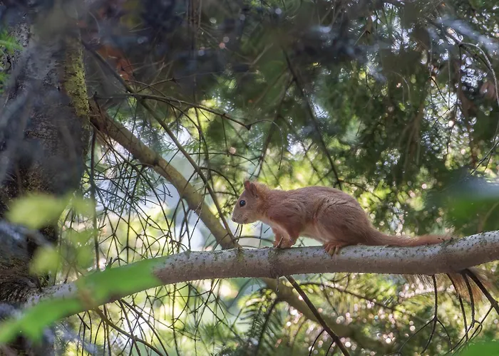 Holiday home Nad Jeziorem W Gorach *