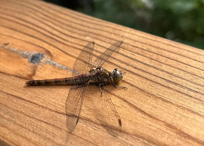 Holiday home Nad Jeziorem W Gorach